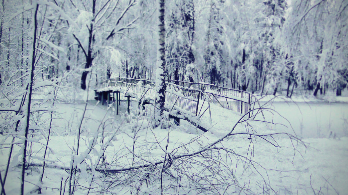 Зима... - Мария Макарова