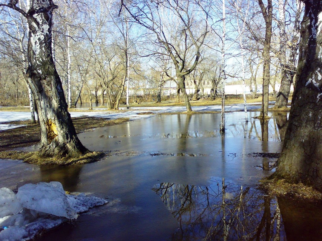 Весна в парке - Ольга Чазова