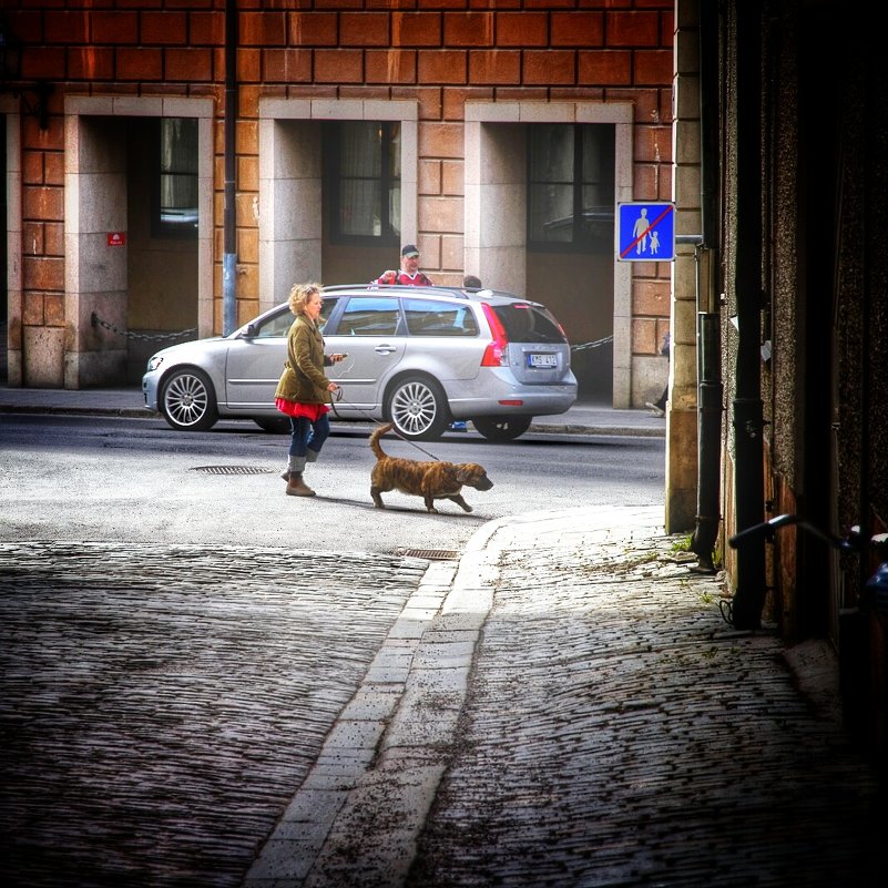 Дама с собачкой. На улицах Стокгольма - Андрей Илларионов