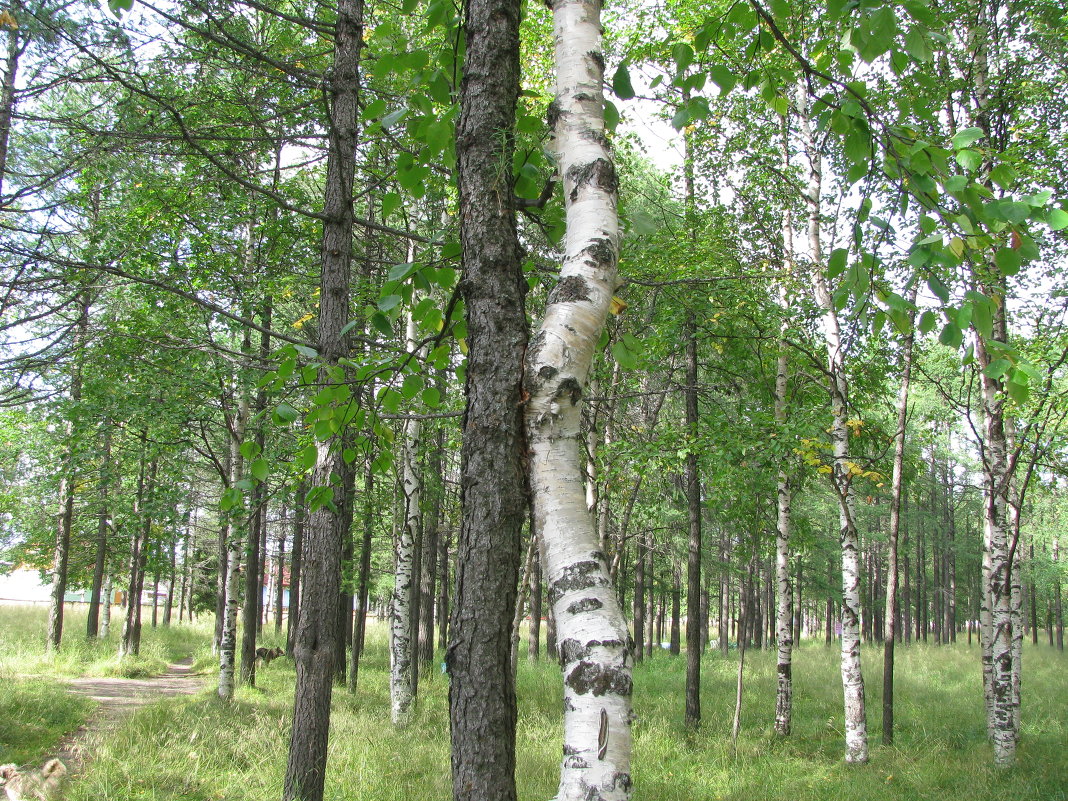 Поцелуй - Евгений Усатов