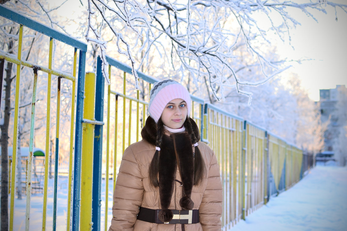 Зимняя прогулка - Inna Popova