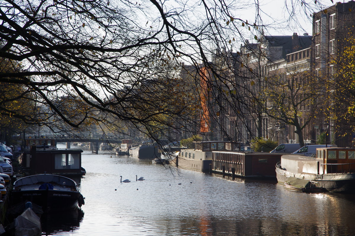 Amsterdam - Вадим Кузнецовский