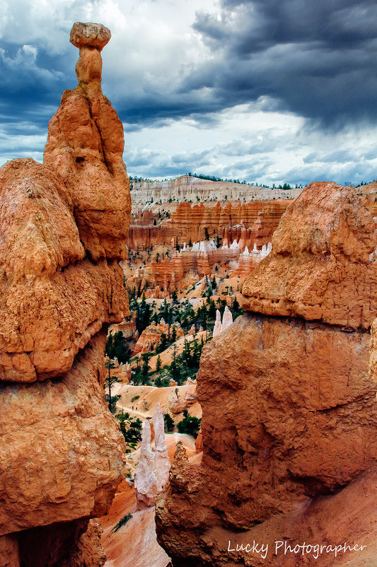 Bryce Canyon - Lucky Photographer