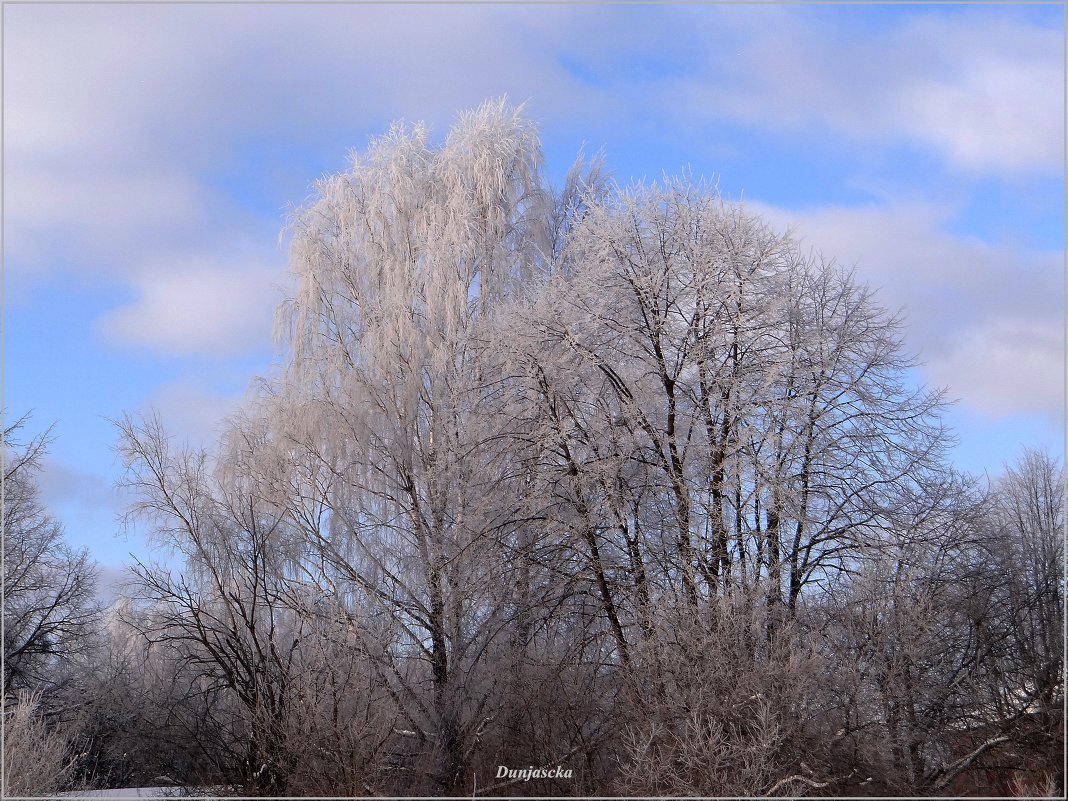 Прекрасный, морозный день.. - Антонина Гугаева