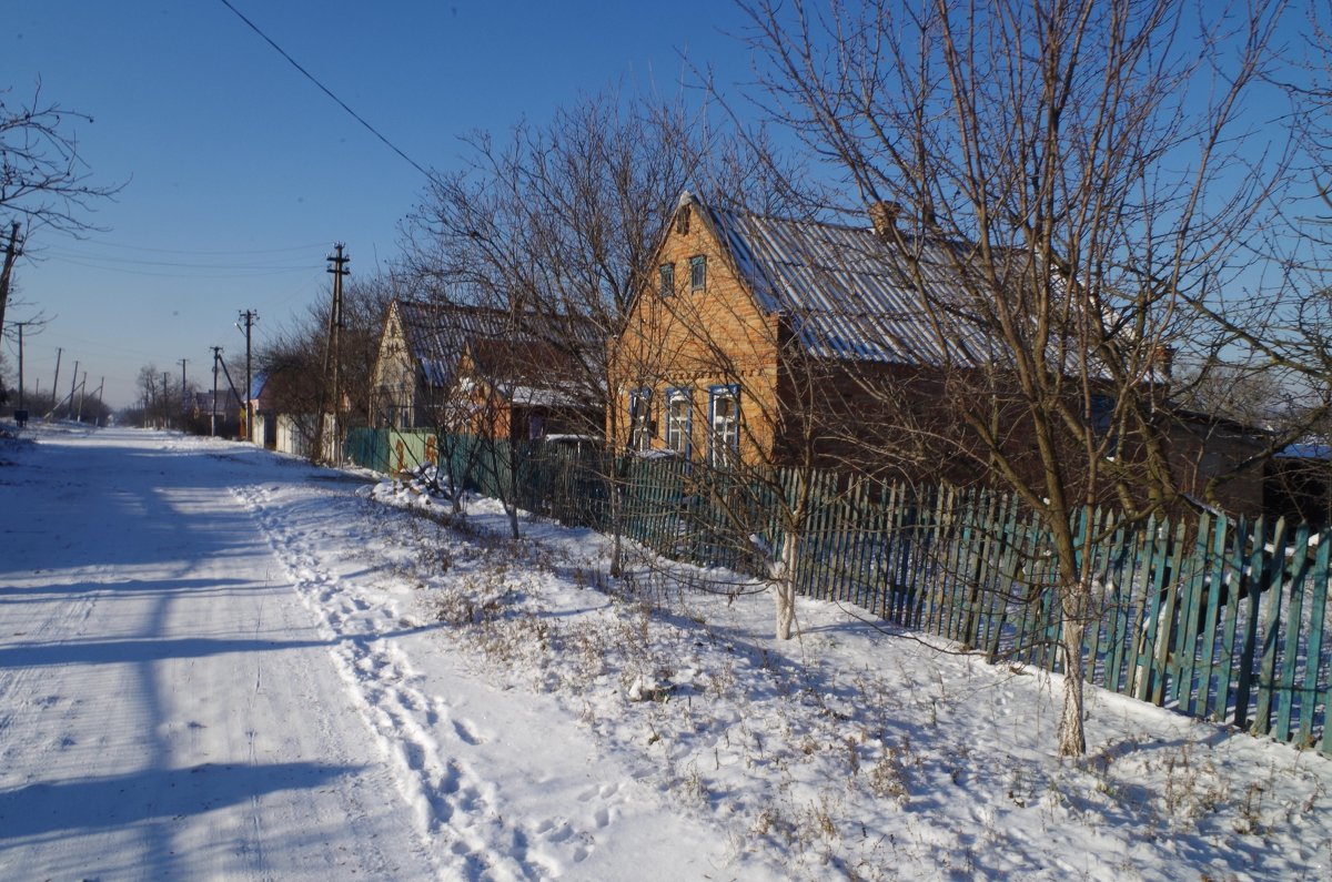 Зима на улице Гоголя - Виталий Бережной