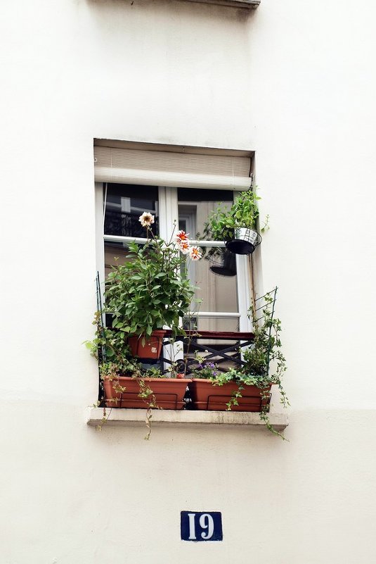 Парижские окна # 4 - Михаил Малец