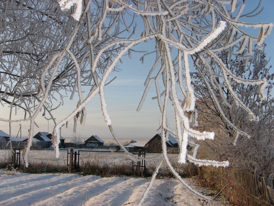 Зима в деревне - Геннадий Ячменев