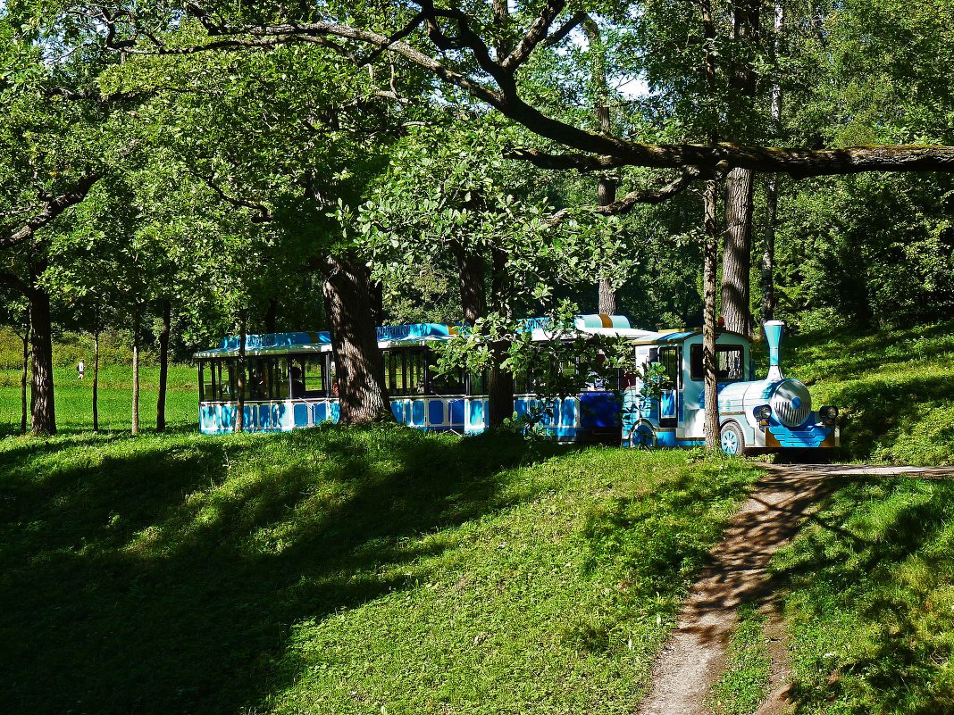 Экскурсионный паровозик в парке Павловска. - Александр Лейкум