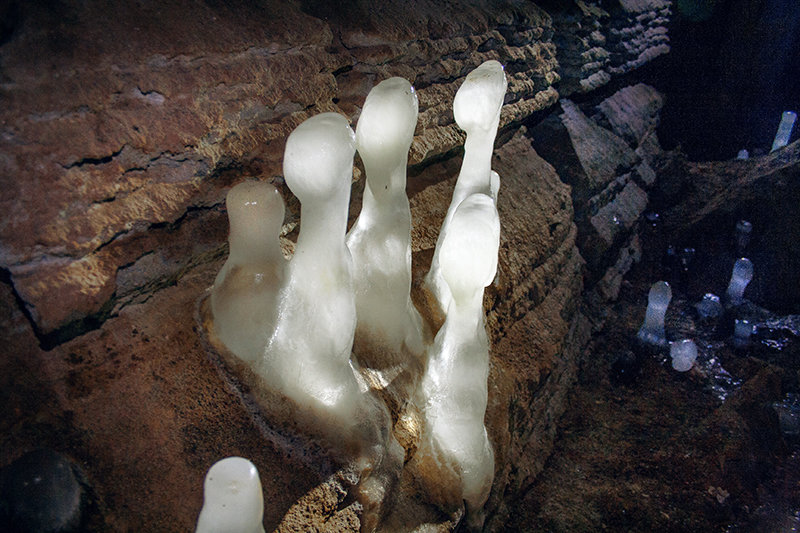 Ледяные грибы - Ольга Чиж