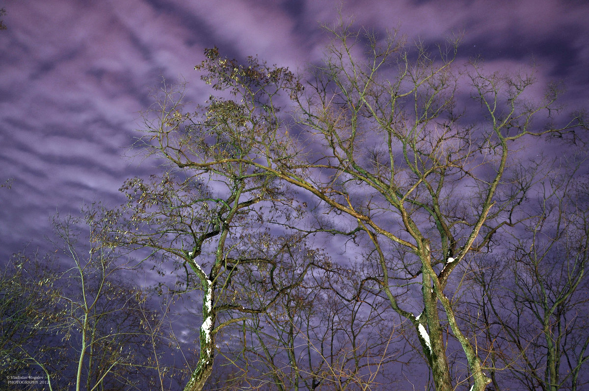 небо февраля через час после заката - Vladislav Rogalev