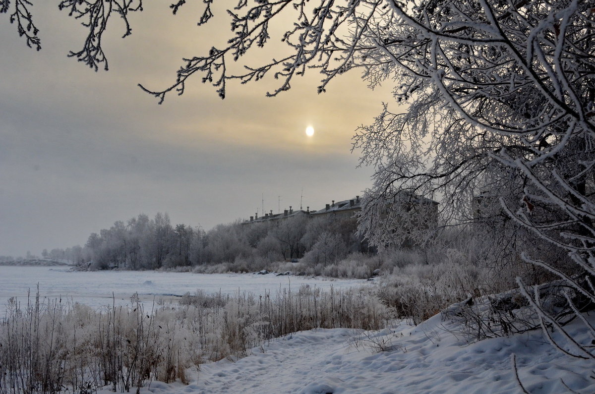 winter morning - Dmitry Ozersky