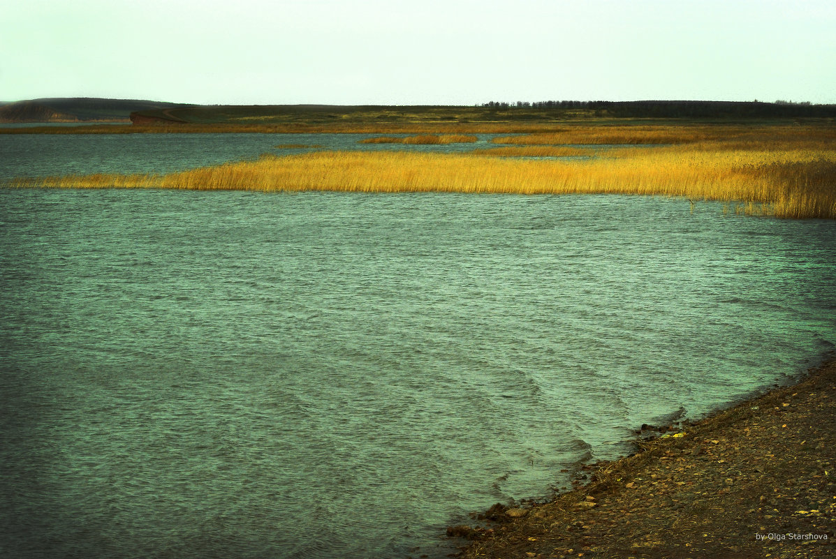 Осенью на озере Аслыкуль - Olga Starshova