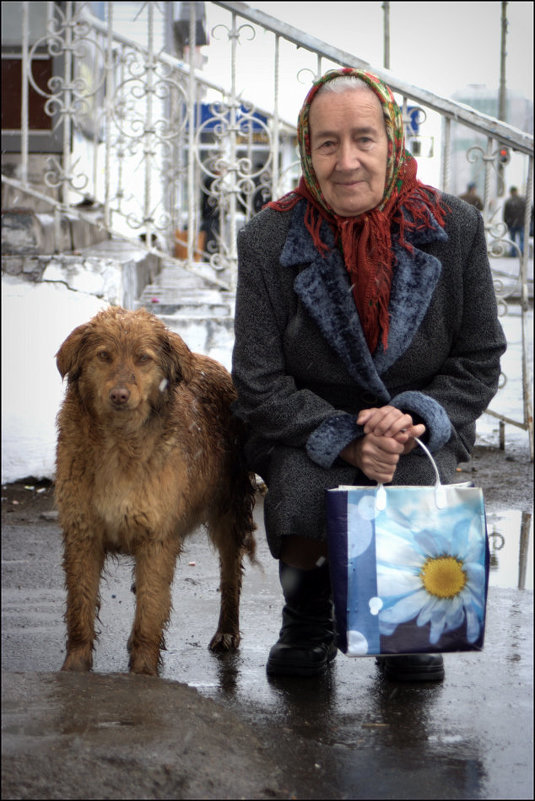 Портрет с бродячей собакой - Александр Рязанов
