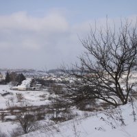 Зимний пейзаж :: Алина Тазова