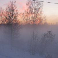 Туман :: Алексей Сараев
