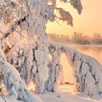 Зима во всей красе :: Нина Штейнбреннер