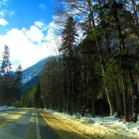 Дорога в горы :: Marina Timoveewa