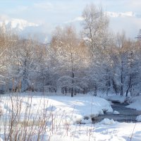 Зима в предгорье :: Екатерина 