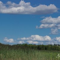 ярославские пейзажи :: Георгий 