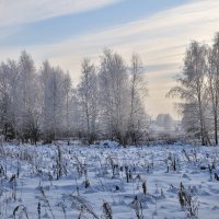 Зимний пейзаж. :: Андрей В.