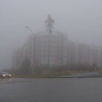 в тумане :: Татьяна 