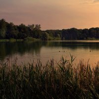 Вечерком на озере... :: Иван Солонинка