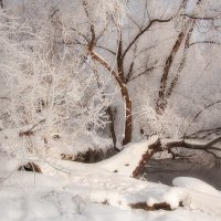 Приходи зима седая! :: Олег Самотохин