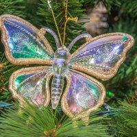 Новогодняя бабочка. :: Геннадий Оробей