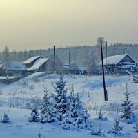 У околицы зимой :: Валерий Симонов