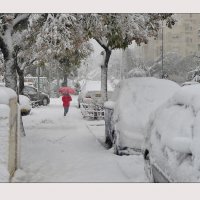 Зима в Израиле :: Борис Херсонский