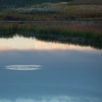 Круги на воде :: Валерий Рудков