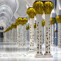 колонны мечети Шейха Заеда :: Асхат Жусупов
