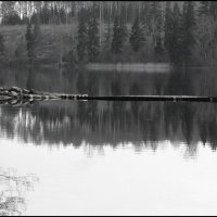 lake :: Aleksandrs Tarabanovskis