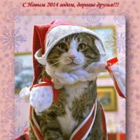 С Новым годом, дорогие друзья!!! :: Алёна Михеева