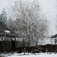 Зима :: Эдуард Кочетов
