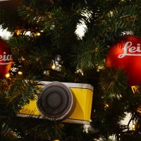 Персональная ёлка Leica) :: Екатерина Т.
