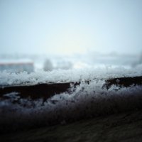 Снег :: неля ибрагимова