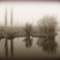 Туманные отражения :: Алла Рыженко