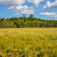 г. Североуральск, в окрестностях. :: Зимнухов Дмитрий 