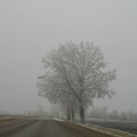 Зима в дороге :: Ксения 