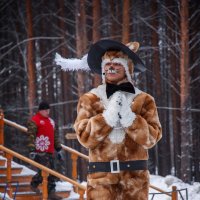 Кот в сапогах :: Сергей Тараторин