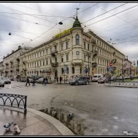 Петербург :: ник. петрович земцов
