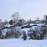 Деревенская зимняя зарисовка. :: Андрей В.