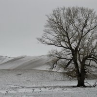 Зима не за горами :: Надежда Рябинина