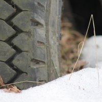 фото :: Дмитрий Симонов