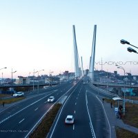 Владивосток, мост через бухту "Золотой Рог" :: Оля 