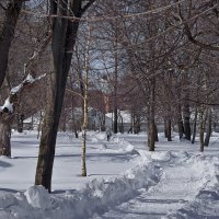 В парке :: Владимир ЯЩУК