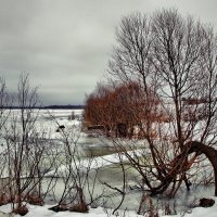 Спит река под пледом льда :: Олег Кашаев