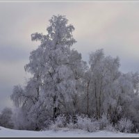 Зимушка :: Анатолий Вафин