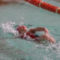 Соревнование по плаванию :: Сергей Мельниченко 